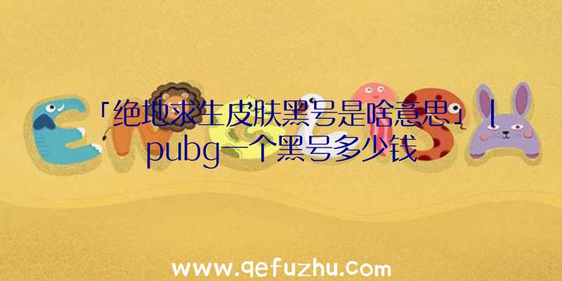 「绝地求生皮肤黑号是啥意思」|pubg一个黑号多少钱